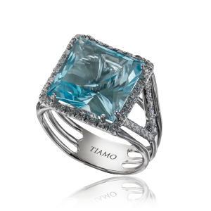 ring_colordance_TE_5253_800